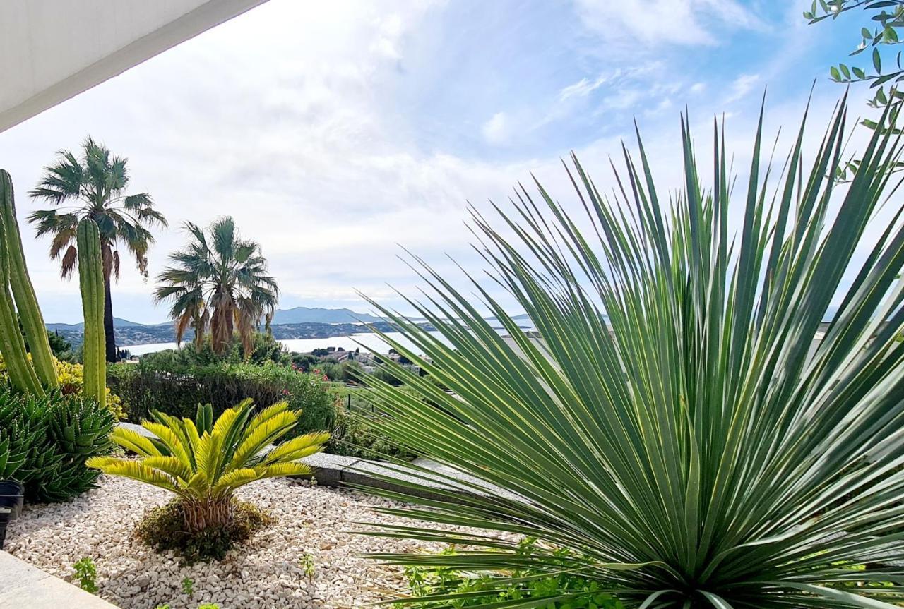Magnifique Appartement Vue Mer - Grande Terrasse Et Piscine Bandol Εξωτερικό φωτογραφία